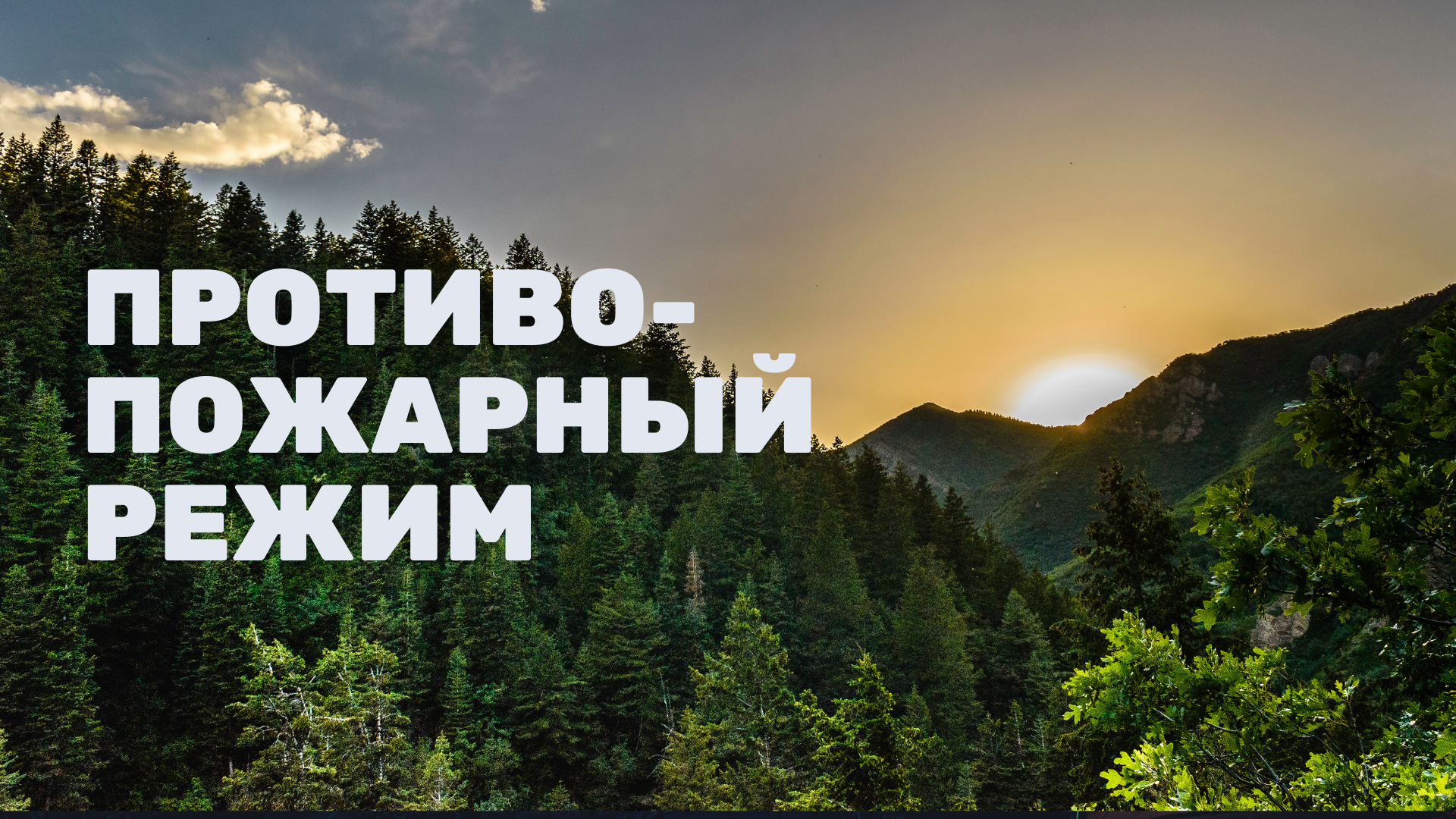 ПРОТИВОПОЖАРНЫЙ РЕЖИМ