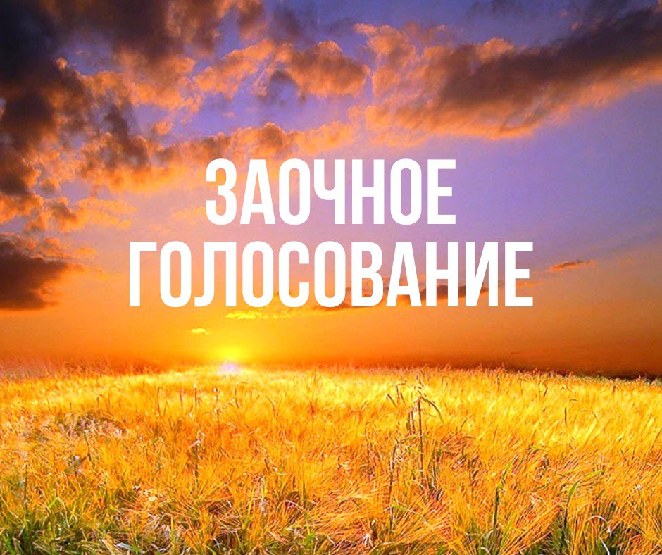 ЗАОЧНОЕ ГОЛОСОВАНИЕ 2022