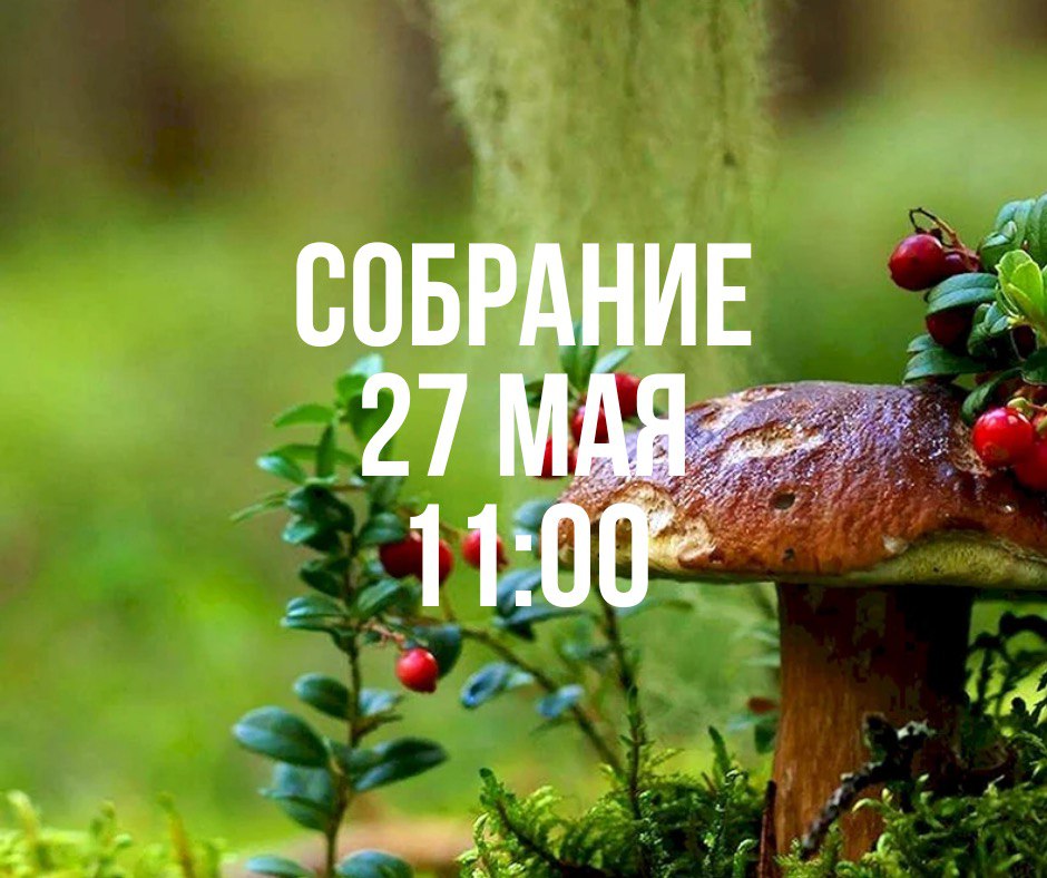 Собрание 27 мая в 11:00